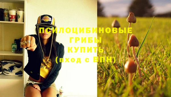 мяу мяу мука Ступино