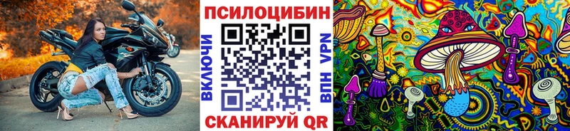 Купить закладки  Пустошка  Псилоцибиновые грибы мицелий 